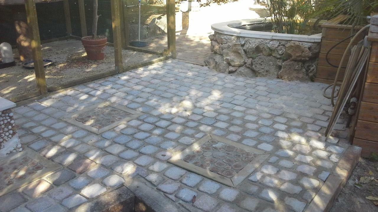 فندق A L'Ombre Du Cedre Hyères المظهر الخارجي الصورة